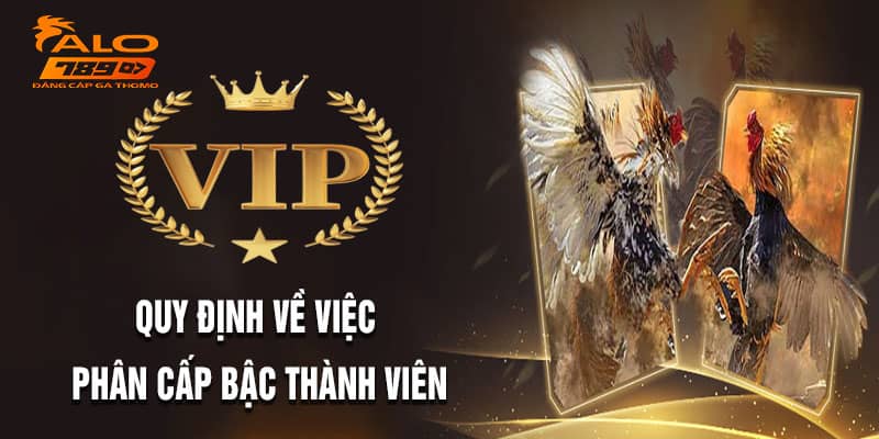 Có 3 cấp bậc trong chương trình clb vip alo789