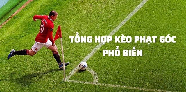 Tổng hợp những loại kèo cược phạt góc có độ phổ biến cao 